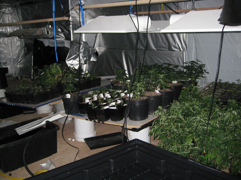 Grow House